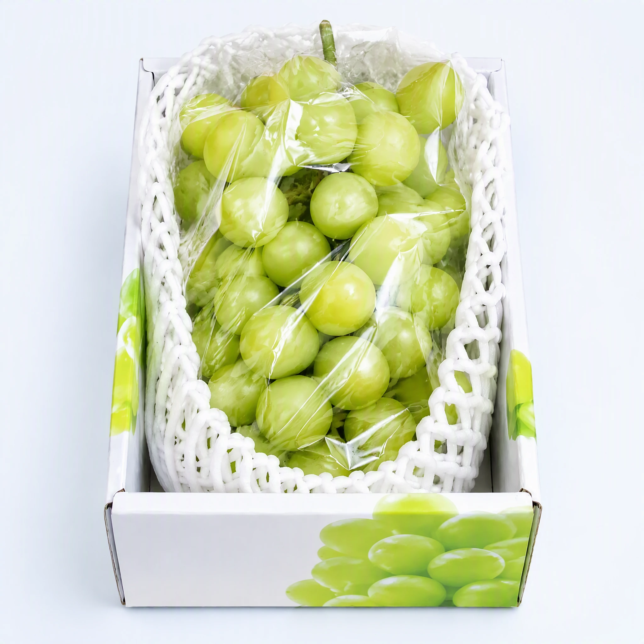 샤인머스캣 2kg